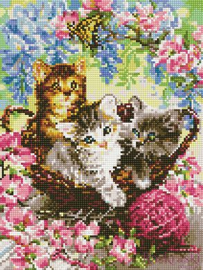 Набор алмазной вышивки Игривые котята Rainbow Art (EJ1369, На подрамнике) фото интернет-магазина Raskraski.com.ua
