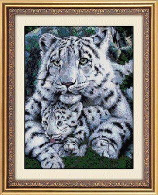 Алмазная картина Белые тигры (полная зашивка, квадратные камни) Dream Art (DA-30049, Без подрамника) 38 х 49 см фото интернет-магазина Raskraski.com.ua
