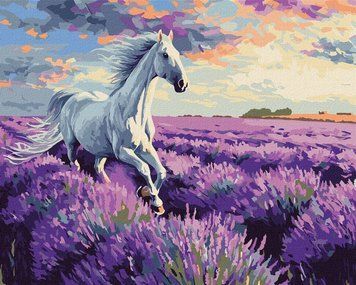 Картина по номерам В лавандовых полях &copy;art.solomiia (KHO6659) Идейка 40 х 50 см