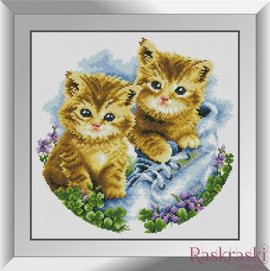 Алмазная мозаика Рыжие котята Dream Art (DA-31341, Без подрамника) фото интернет-магазина Raskraski.com.ua