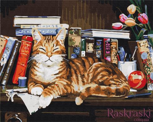 Картина по цифрам Кіт на книжковій полиці (BS4142) (Без коробки)