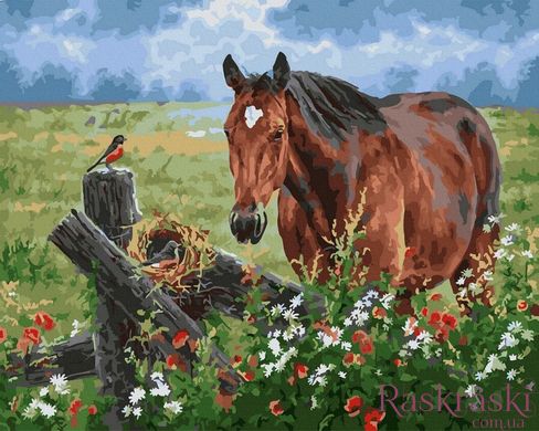 Картина по номерам Лошадь на лугу (BK-GX25107) (Без коробки)