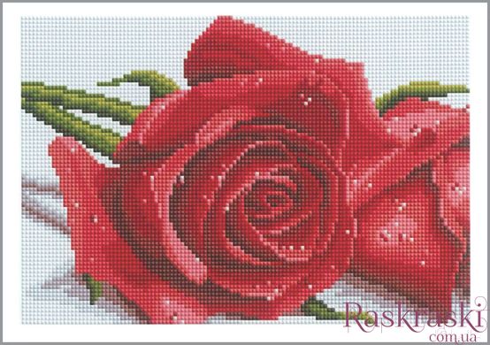 Алмазная картина Розы (CF074) Алмазная мозаика (OSC021, Без подрамника) фото интернет-магазина Raskraski.com.ua