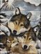 Картина за номерами на дереві Сім'я вовків (ASW013) ArtStory — фото комплектації набору