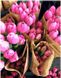 Картини за номерами Продавець тюльпанів (BRM7520) — фото комплектації набору