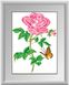 Алмазна вишивка Роза з метеликом (повна зашивання, квадратні камені) Dream Art (DA-30258) — фото комплектації набору