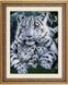 Алмазная техника Белые тигры (полная зашивка, квадратные камни) Dream Art (DA-30049, Без подрамника) — фото комплектации набора