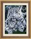Алмазная техника Белые тигры (полная зашивка, квадратные камни) Dream Art (DA-30049, Без подрамника) — фото комплектации набора