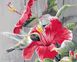 Картина за номерами Колібрі з квіткою (AS0179) ArtStory — фото комплектації набору