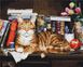 Картина по цифрам Кіт на книжковій полиці (BS4142) (Без коробки)