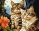 Картина за номерами Чарівні котики ©art_selena_ua (KH6574) Ідейка — фото комплектації набору