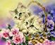 Картина алмазна вишивка Кошенята в кошику My Art (MRT-TN215) — фото комплектації набору