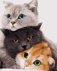 Картина за номерами Три коти (ART-B-4201) Artissimo фото інтернет-магазину Raskraski.com.ua