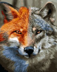 Картина по номерам Лиса и волк (ANG510) (Без коробки)