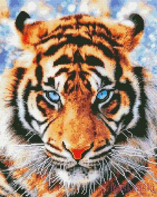 Мозаика алмазная Взгляд тигра Никитошка (GJ6307, На подрамнике) фото интернет-магазина Raskraski.com.ua