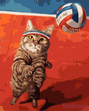 Картина за номерами Кіт і волейбол (BK-GX37686) (Без коробки)