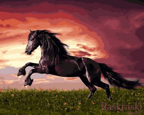 Картина по цифрам Прыжок лошади (VP1257) Babylon фото интернет-магазина Raskraski.com.ua