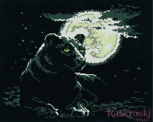 Картина алмазами Чорна пантера Алмазна мозаіка (OSF069) фото інтернет-магазину Raskraski.com.ua