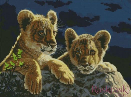 Набір алмазної мозаїки Нічна вилазка (лев'ята) (56 х 75 см) Dream Art (DA-31591) фото інтернет-магазину Raskraski.com.ua