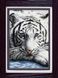 Картина из мозаики Бенгальский тигр (полная зашивка, квадратные камни) Dream Art (DA-30050, Без подрамника) — фото комплектации набора