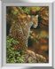 Алмазна мозаїка Погляд леопарда Dream Art (DA-31242) — фото комплектації набору