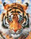 Мозаїка алмазна Погляд тигра НікіТошка (GJ6307) — фото комплектації набору