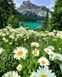 Картины по номерам Ромашковое поле в Альпах (MR-Q2281) Mariposa — фото комплектации набора