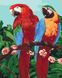 Раскраска по номерам Королевские попугаи (KH4051) Идейка — фото комплектации набора