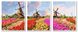 Картина по номерам Триптих. Разноцветные тюльпаны (VPT059) Babylon — фото комплектации набора