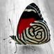 Картина из мозаики Яркая бабочка ТМ Алмазная мозаика (DM-179, Без подрамника) — фото комплектации набора