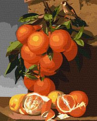 Картина по номерам Апельсины и лимоны (KH5651) Идейка фото интернет-магазина Raskraski.com.ua