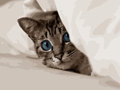 Розмальовка по цифрам Кіт під ковдрою (AS1060) ArtStory (Без коробки)