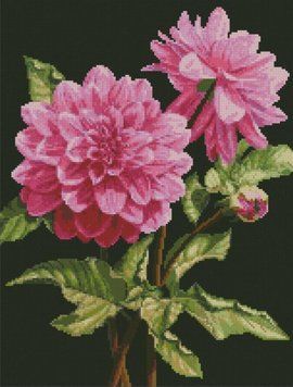 Алмазна картина Жоржини (50 х 38 см) Dream Art (DA-31644) 50 х 38 см фото інтернет-магазину Raskraski.com.ua