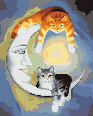 Картина по номерам Ночные котики (BRM23843) фото интернет-магазина Raskraski.com.ua