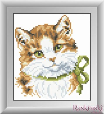 Картина алмазная вышивка Зеленоглазый котенок Dream Art (DA-30364M, Без подрамника) фото интернет-магазина Raskraski.com.ua