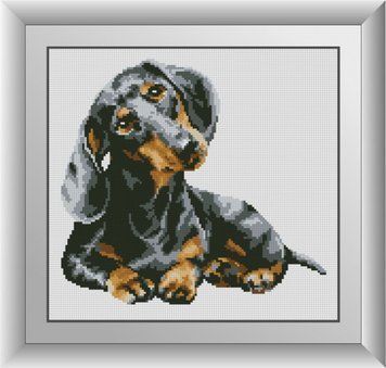 Картина мозаїка Цікава такса Dream Art (DA-30571) 32 х 34 см фото інтернет-магазину Raskraski.com.ua