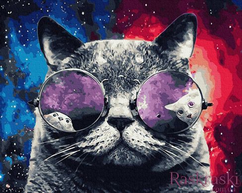 Картина за номерами Космічний кіт (BRM27976) фото інтернет-магазину Raskraski.com.ua