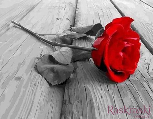 Картина за номерами Кинута троянда (BRM21942) фото інтернет-магазину Raskraski.com.ua
