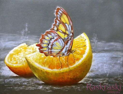 Алмазна вишивка Метелик на апельсині ТМ Алмазная мозаика (DM-180) фото інтернет-магазину Raskraski.com.ua