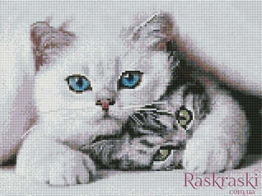 Картина зі страз Кошенята Алмазна мозаіка (OSG030) фото інтернет-магазину Raskraski.com.ua
