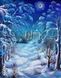 Алмазна мозаїка Зимова ніч ТМ Алмазная мозаика (DM-375) — фото комплектації набору