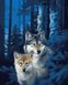 Картина по номерам Ночные волки (BRM28852) — фото комплектации набора