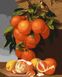 Картина за номерами Апельсини та лимони (KH5651) Идейка — фото комплектації набору