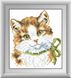 Картина алмазна вишивка Зеленоокий кошеня Dream Art (DA-30364M) — фото комплектації набору