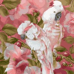 Картина по номерам Белые попугаи (AS1075) ArtStory (Без коробки)
