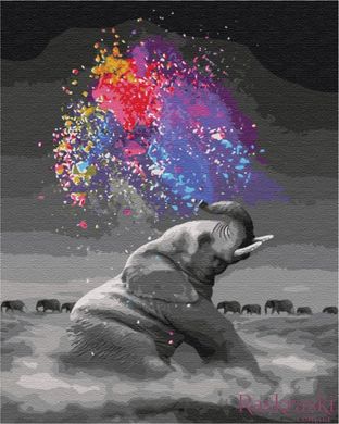 Раскраски по номерам Слон с яркими красками (BS36046) BrushMe (Без коробки)