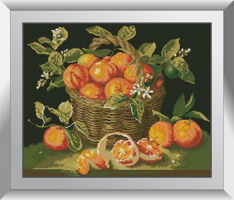 Алмазная мозаика Апельсины Dream Art (DA-31358, Без подрамника) 48 x 59 см фото интернет-магазина Raskraski.com.ua