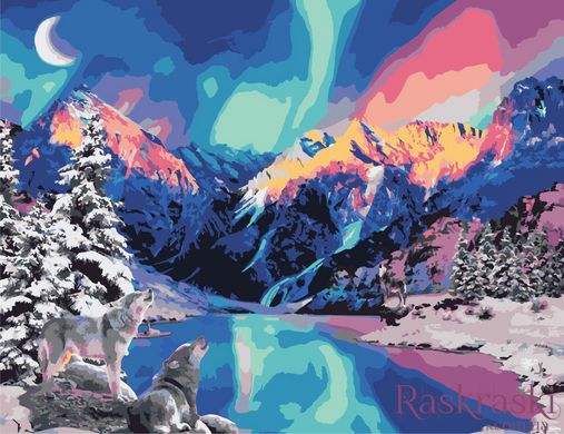 Раскраска по номерам Северное сияние (AS0958) ArtStory фото интернет-магазина Raskraski.com.ua