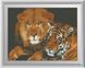Картина из мозаики Опасные кошки (полная зашивка, квадратные камни) Dream Art (DA-30171, Без подрамника) — фото комплектации набора