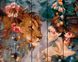 Картины по номерам на дереве Девушка и лев (RA-GXT23397) Rainbow Art — фото комплектации набора